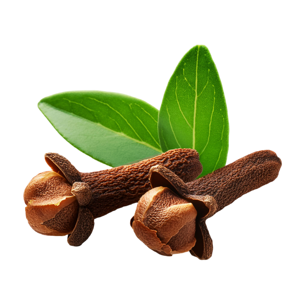 Clove logo