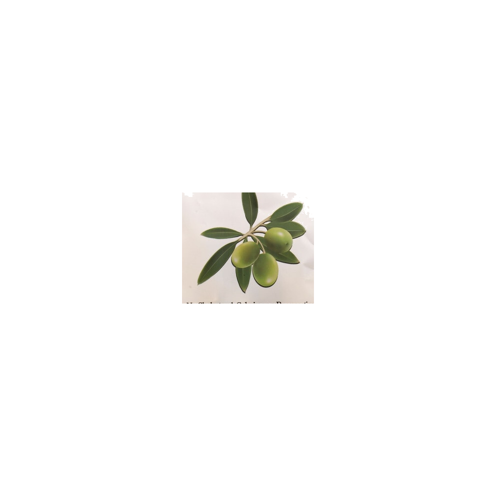 Crostini logo