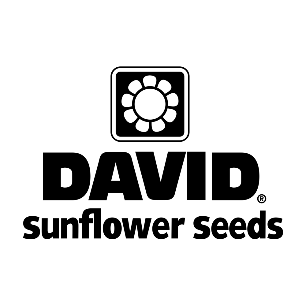 DAVID logo