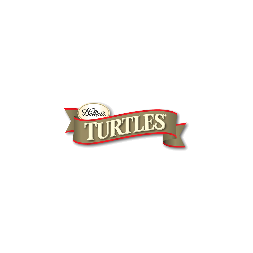 Demets Turtles logo