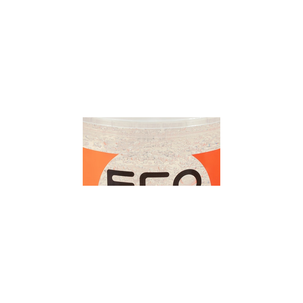 Eco Style logo