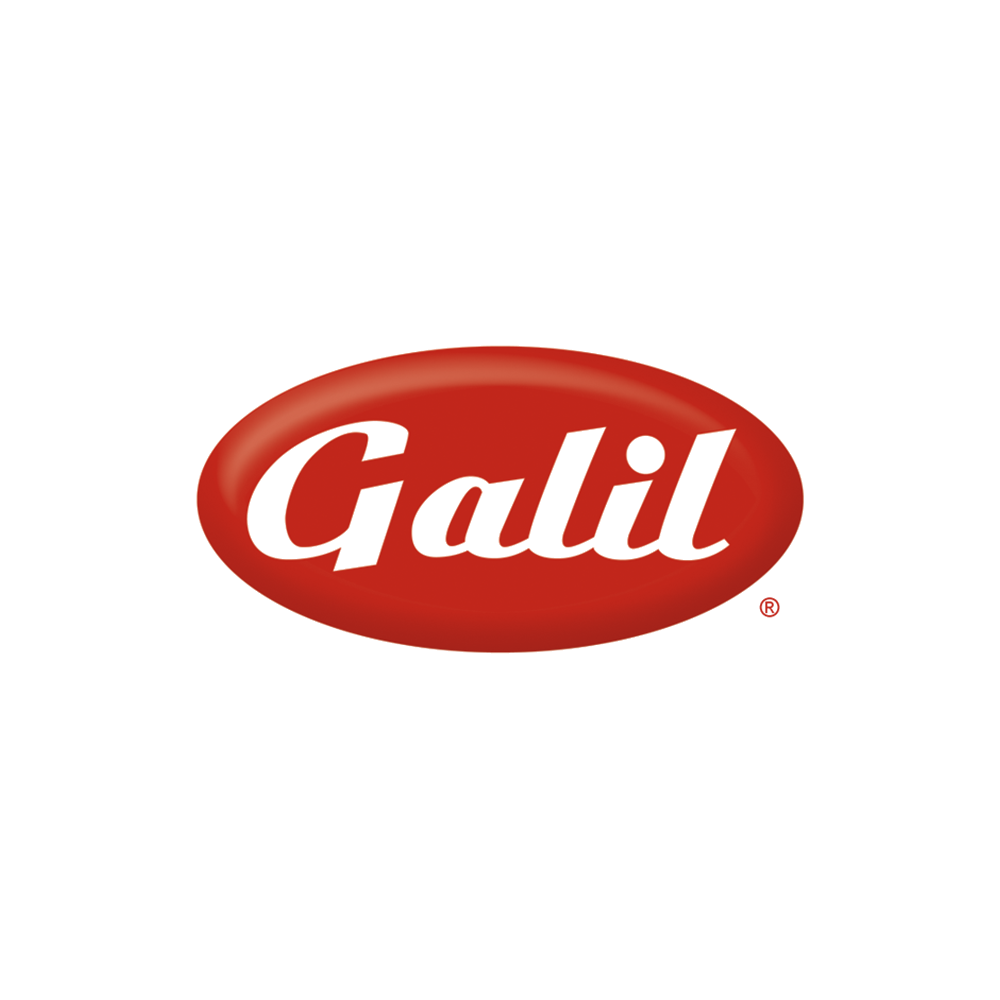 Galil logo