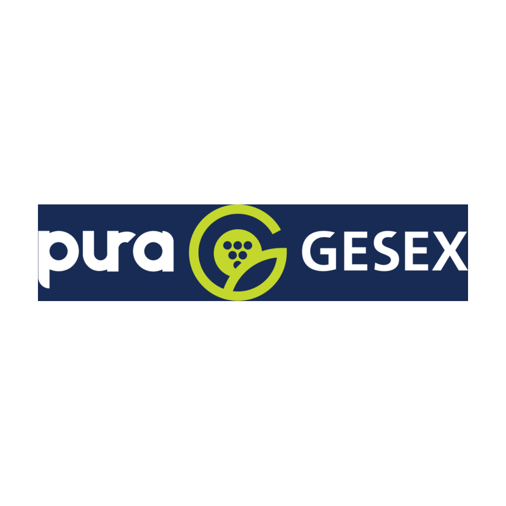 Gesex logo