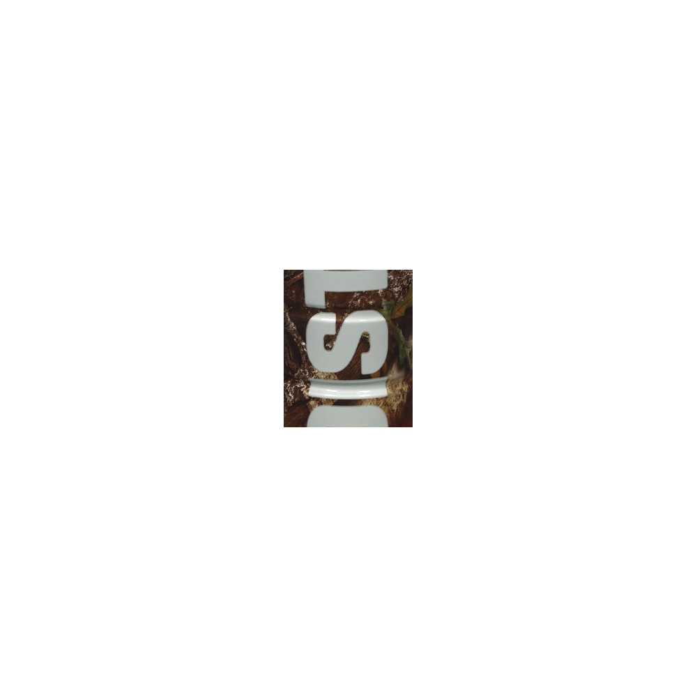 Hoist logo