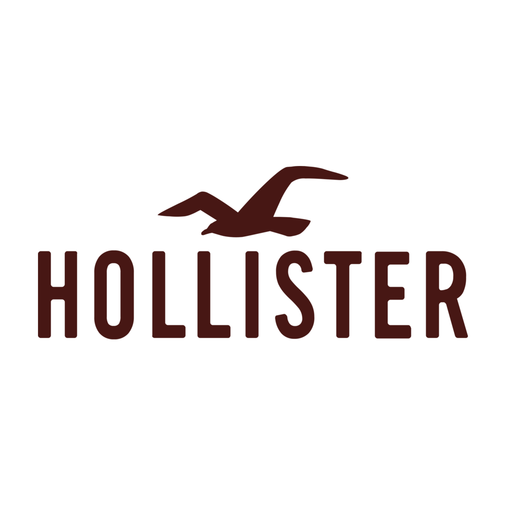 Hollister logo