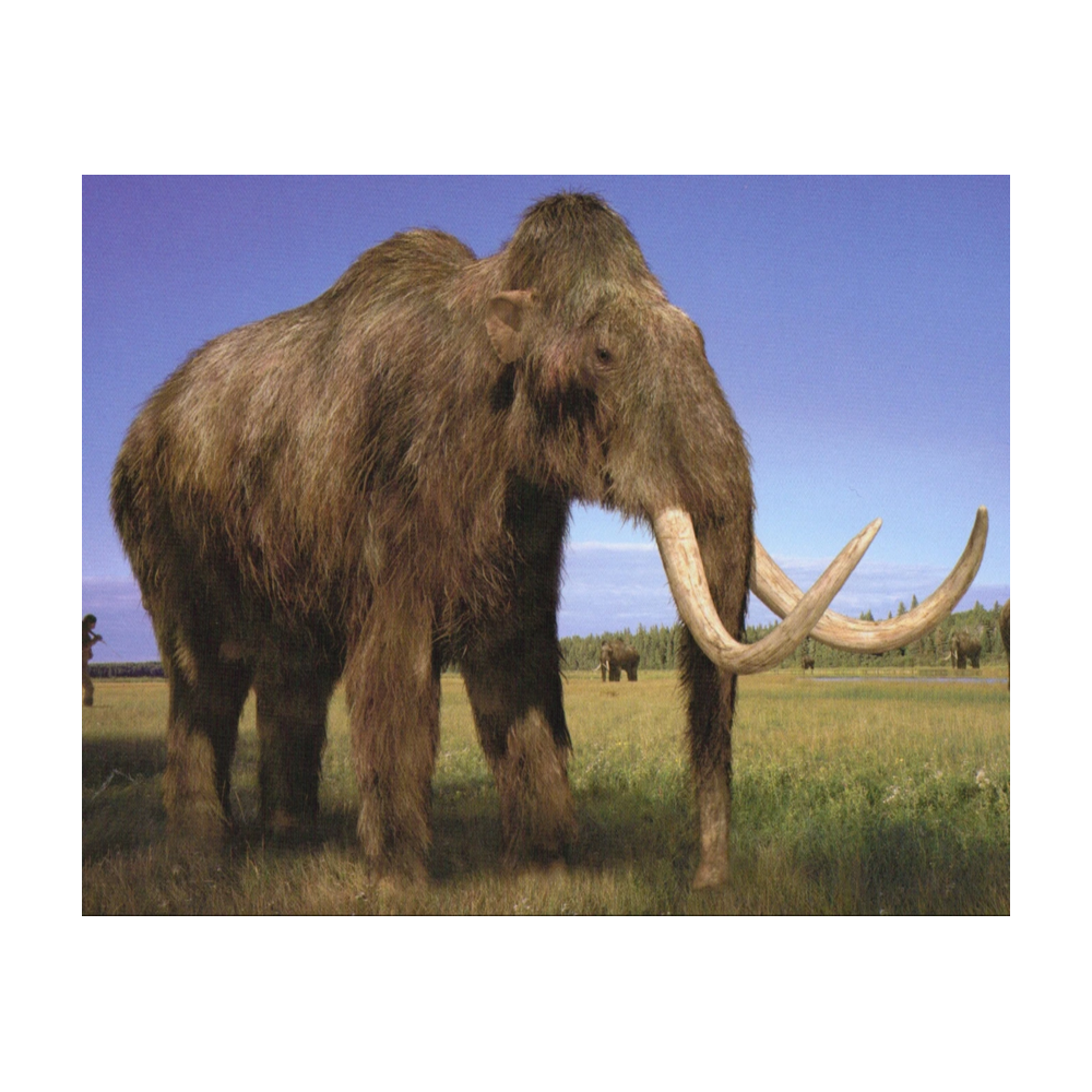 Mammoth logo