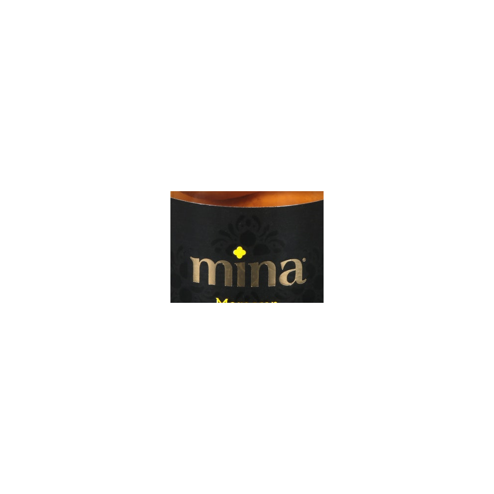 Mina logo