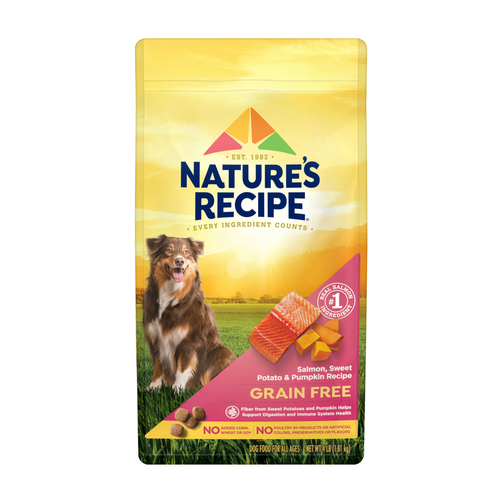 Nature's Recipe logo