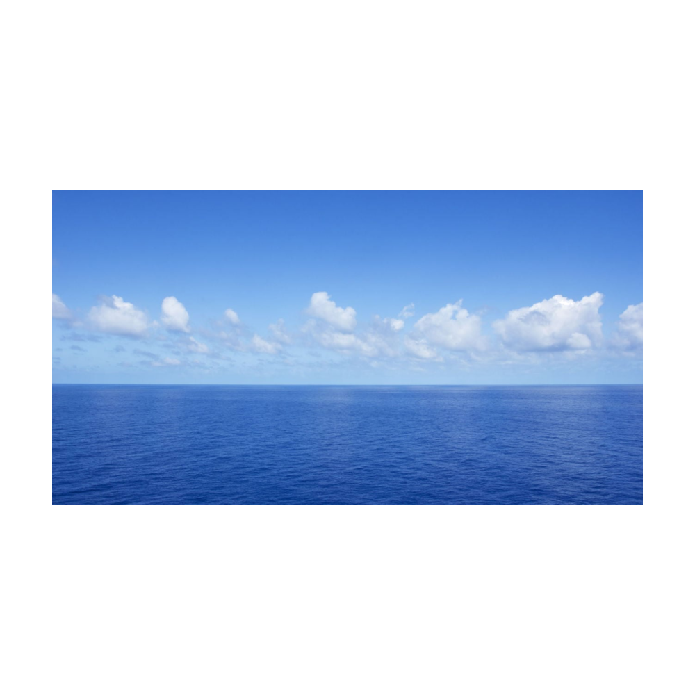 Ocean's logo