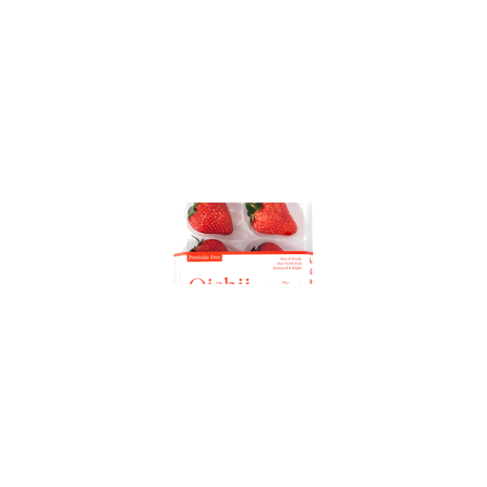 Oishii logo