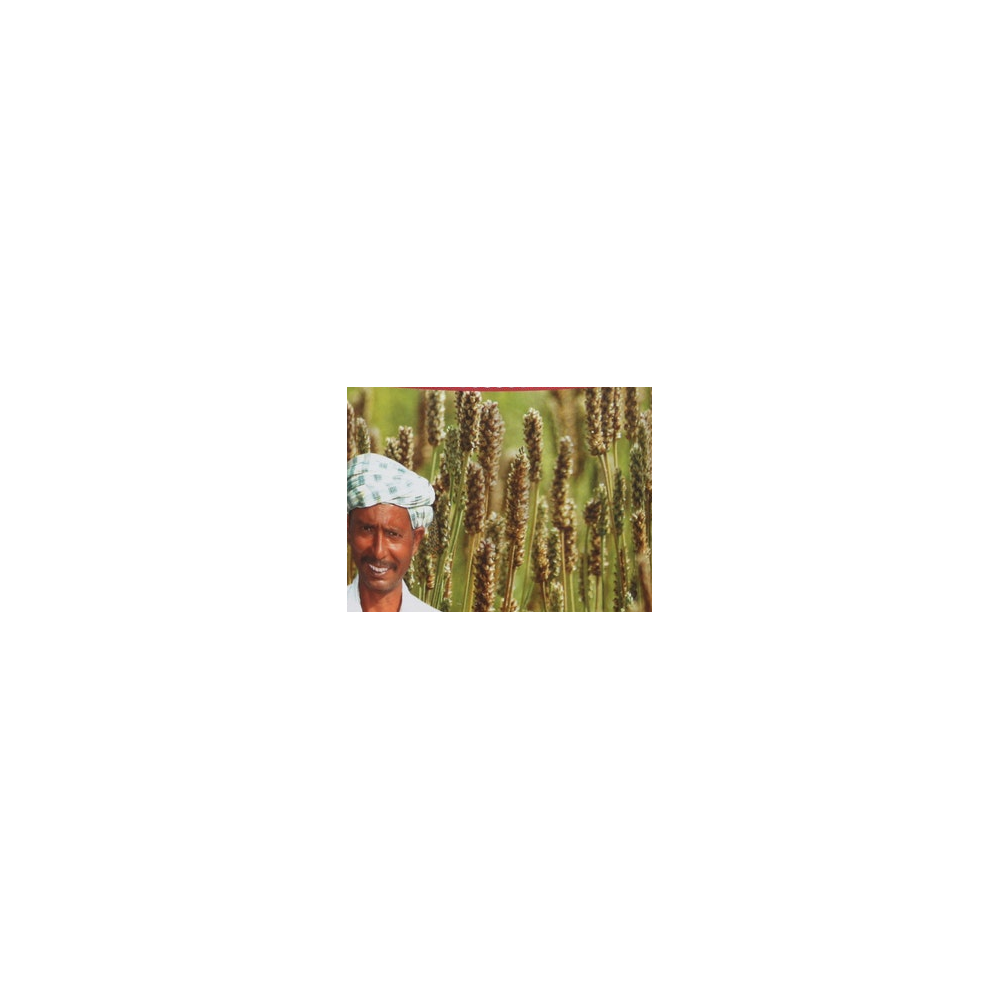 Organic India logo