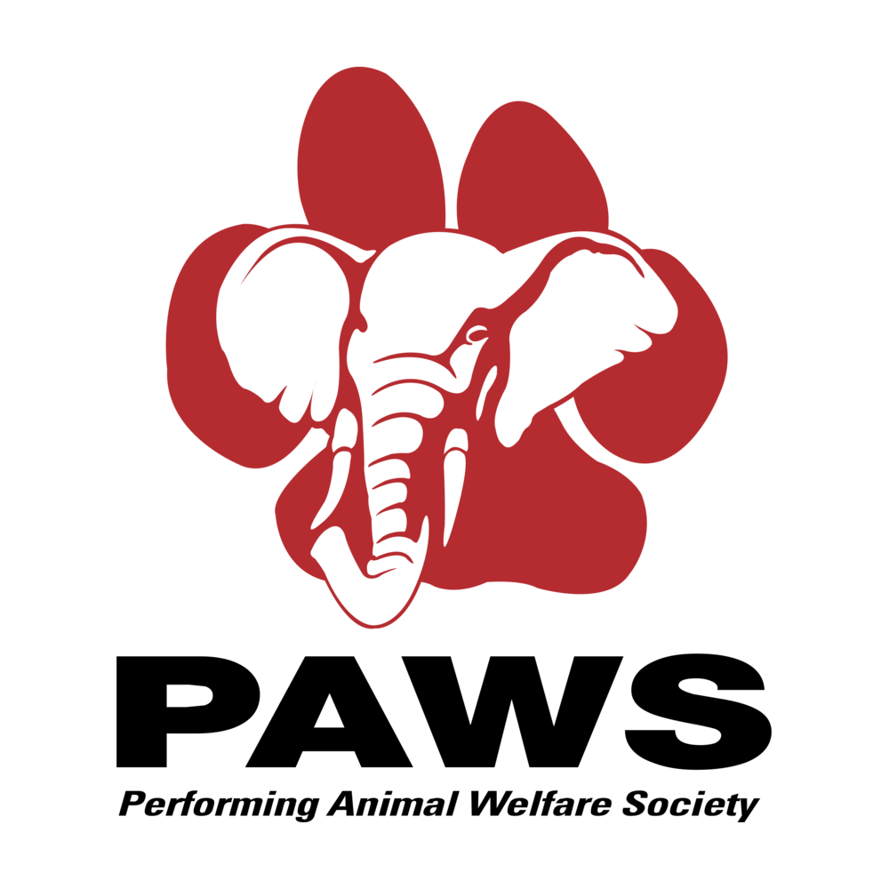 Paws logo