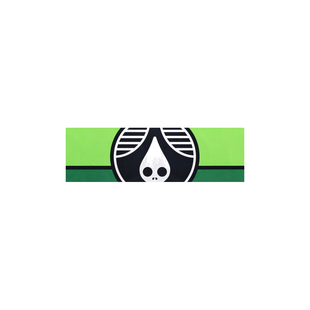 Rhinegeist logo