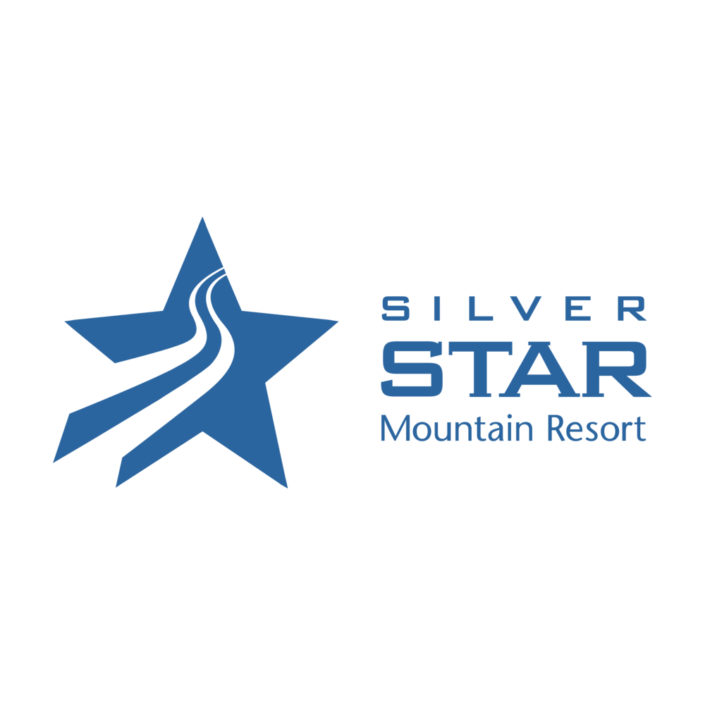 Silver Star logo