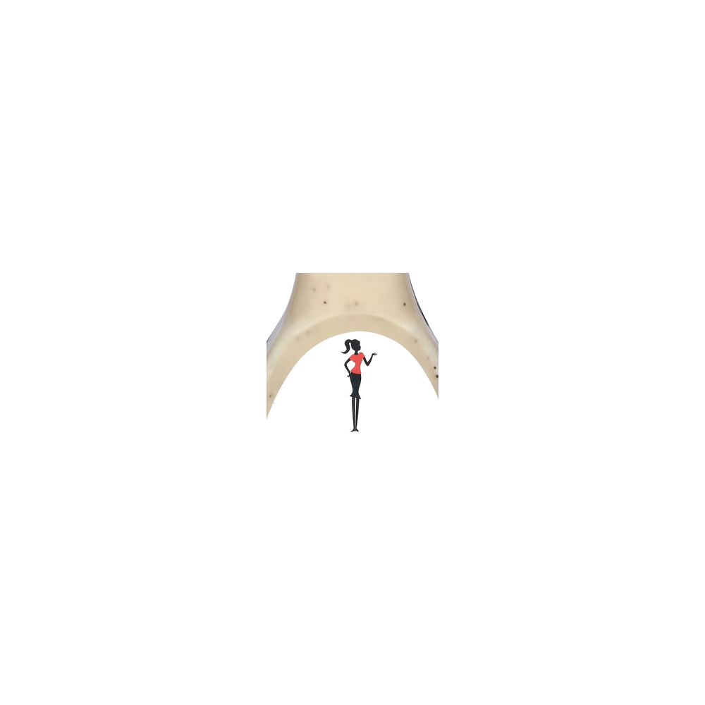 Skinnygirl logo