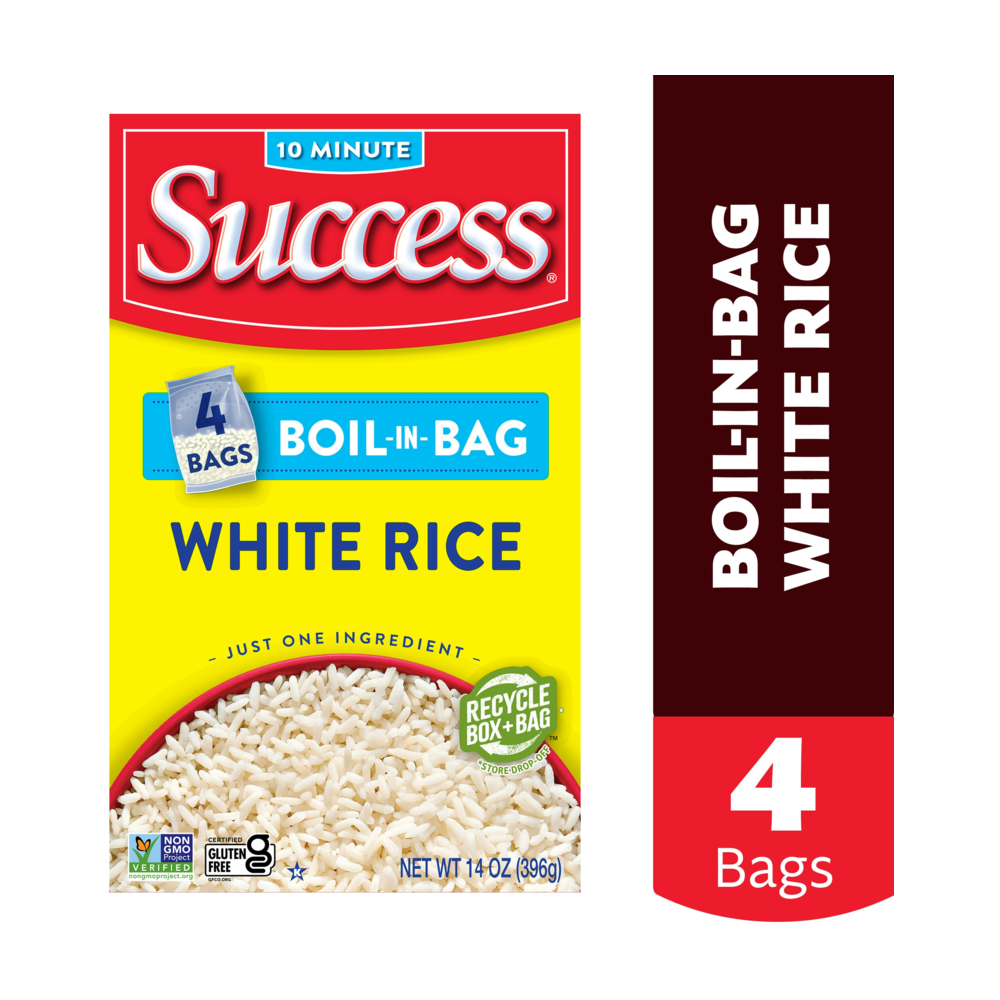 SUCCESS logo