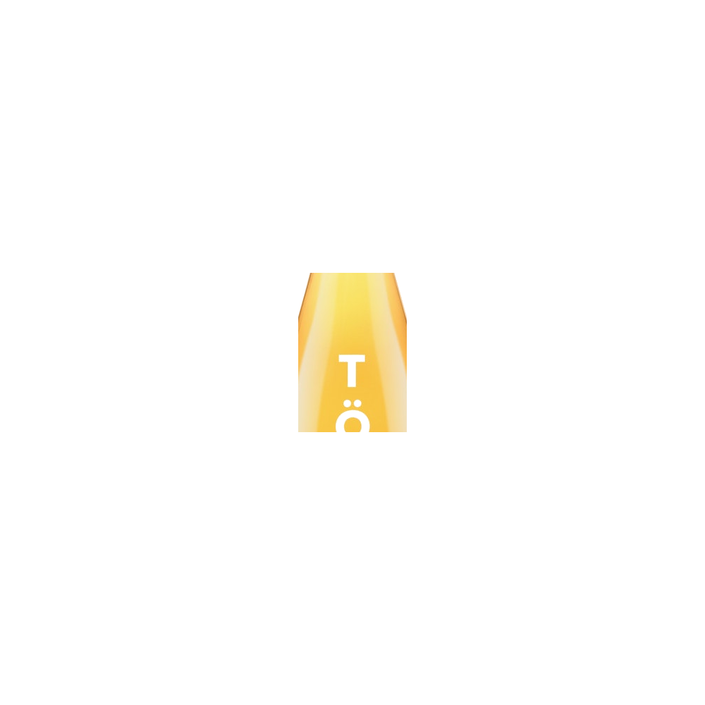 Tost logo