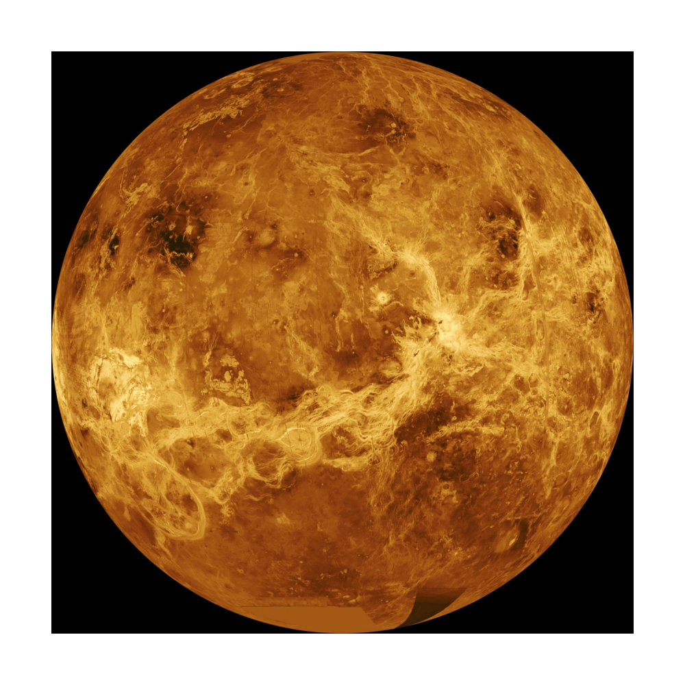 Venus logo