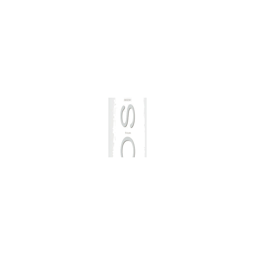 Voss logo