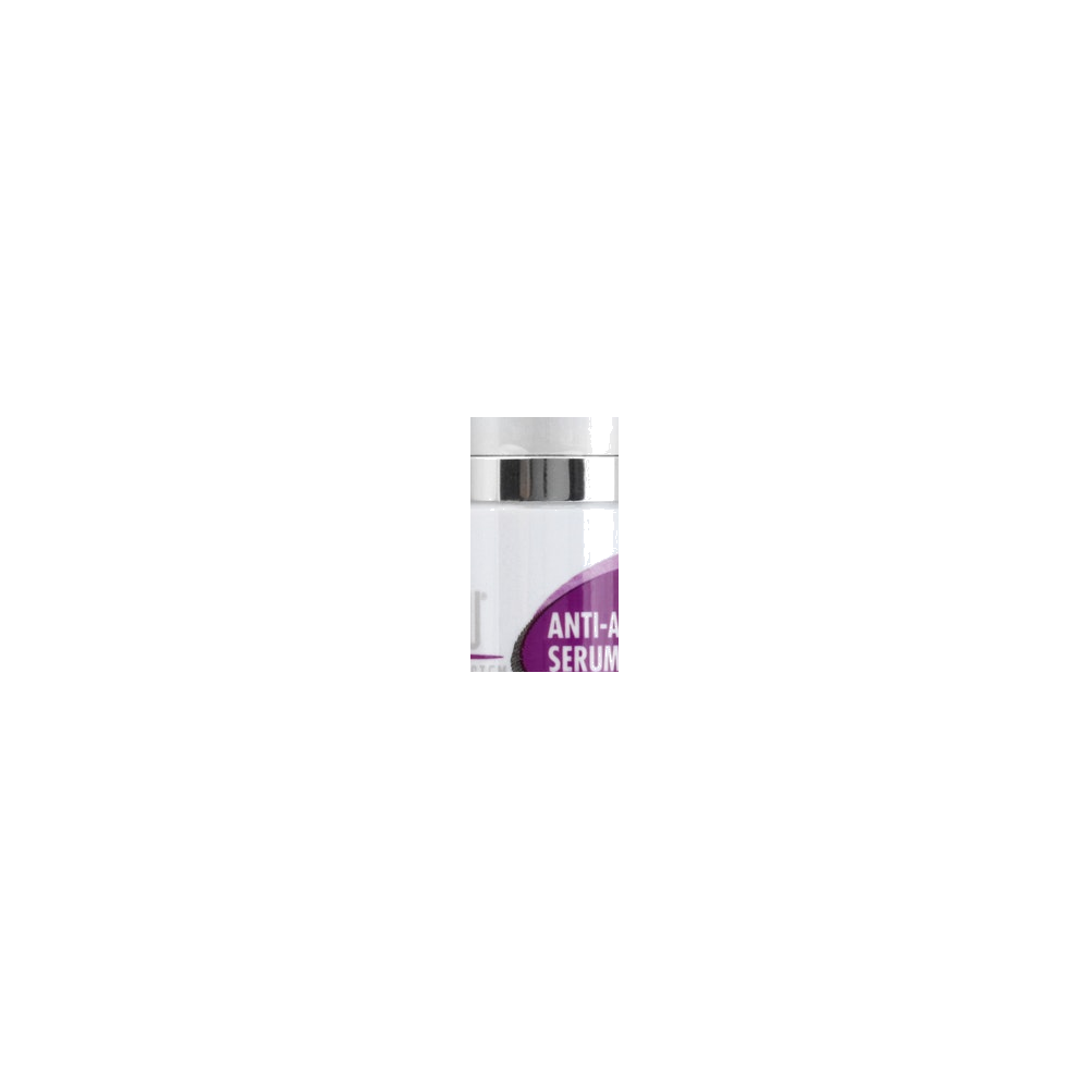 Vu Skin System logo