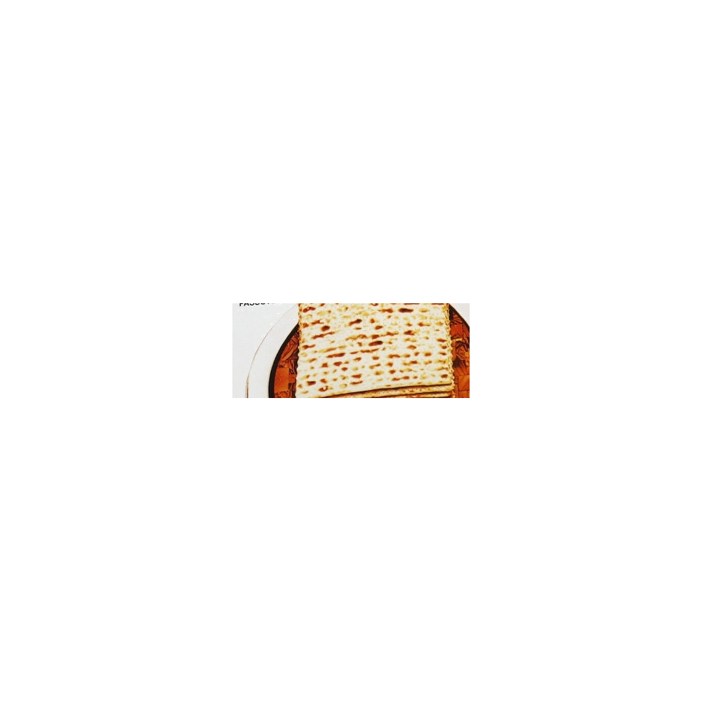 Yehuda Matzos logo