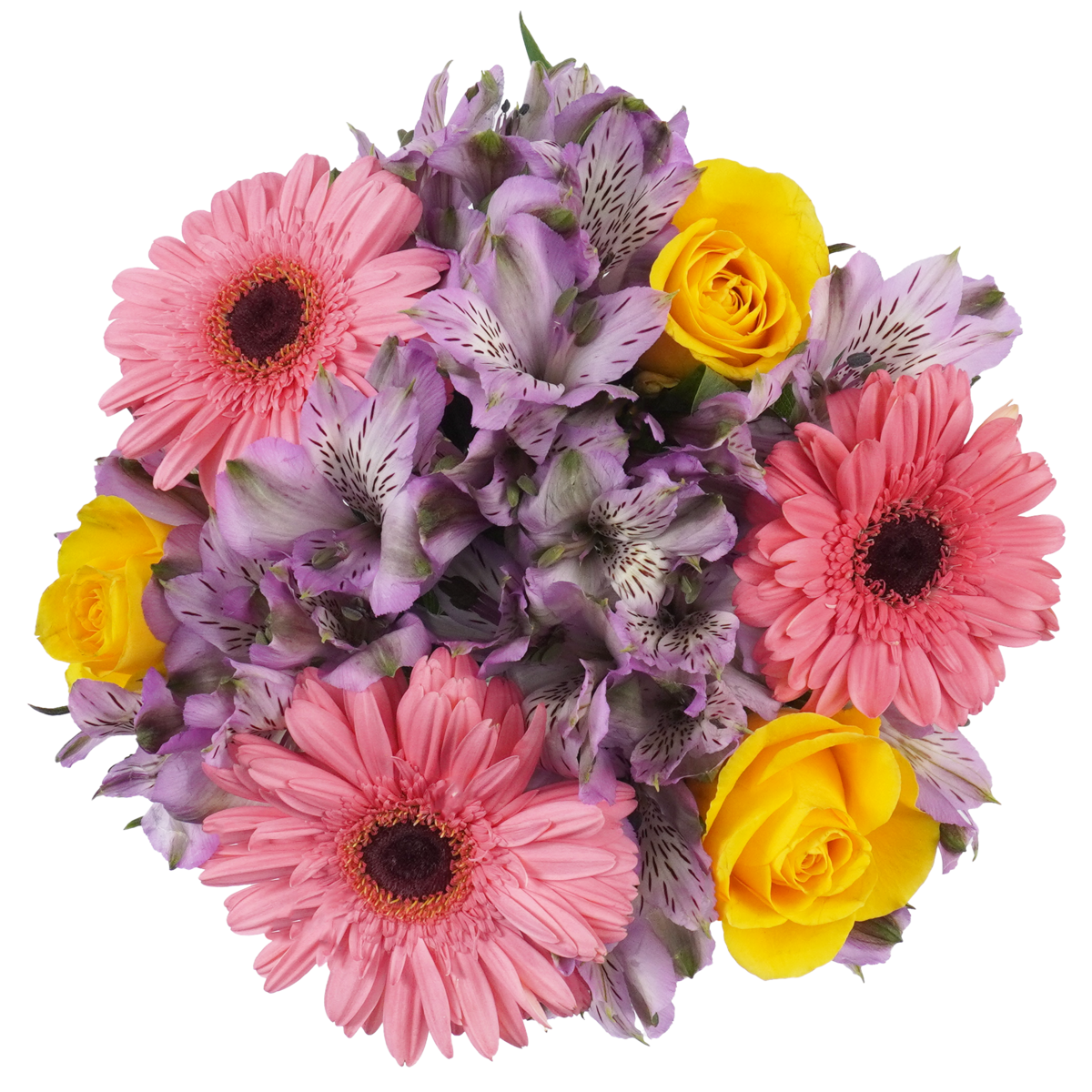 Giant Eagle Floral