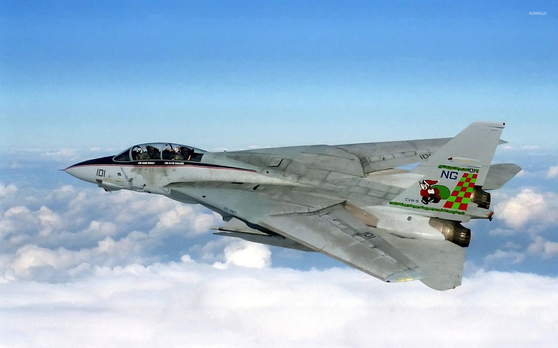 Grumman F-14 Tomcat - Grumman F-14 Tomcat wallpaper - Aircraft wallpapers - #3234