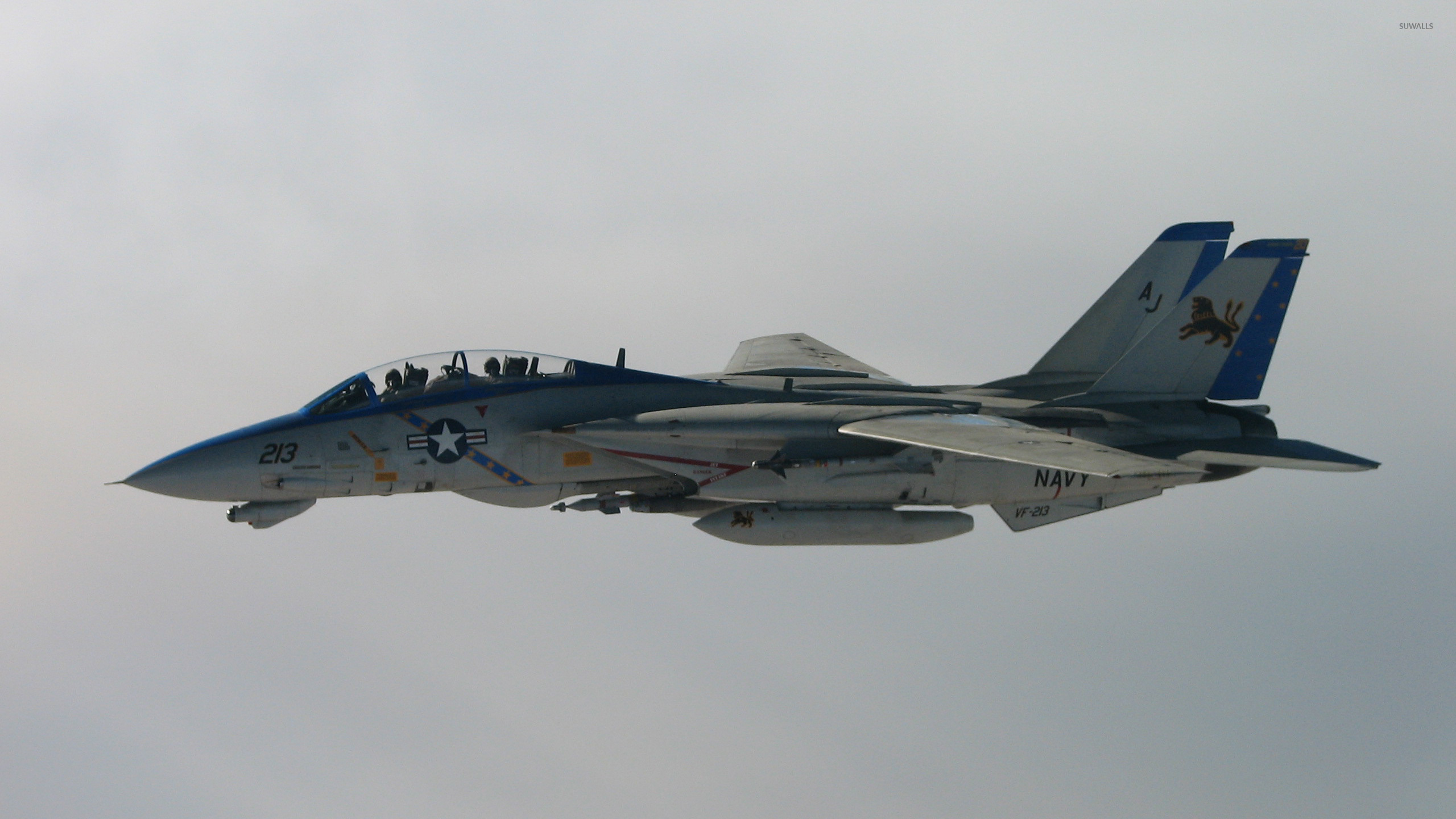 Grumman F-14 Tomcat - Grumman F-14 Tomcat [3] wallpaper - Aircraft wallpapers - #4007