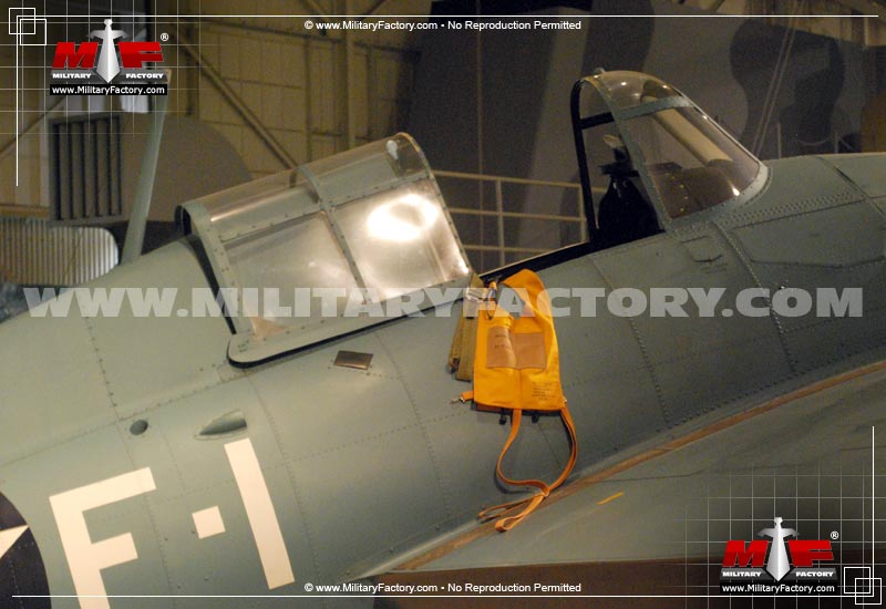 Grumman F4F Wildcat - Image of the Grumman F4F Wildcat