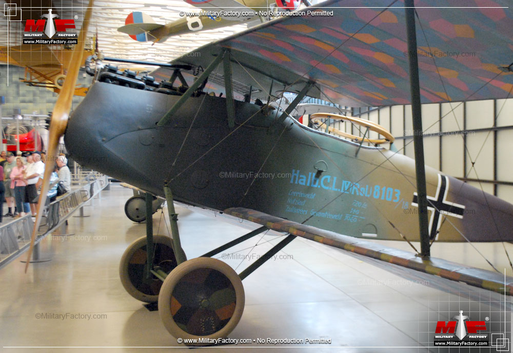 Halberstadt CL.IV - Image of the Halberstadt CL.IV