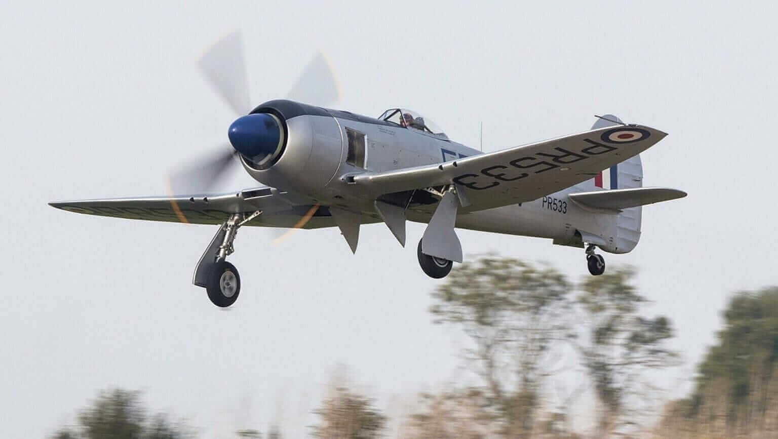 Silver Hawker Tempest PR533 flying low with landing gear extended.
