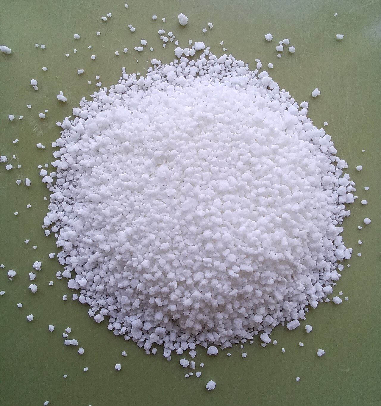 Essential Amino Acids