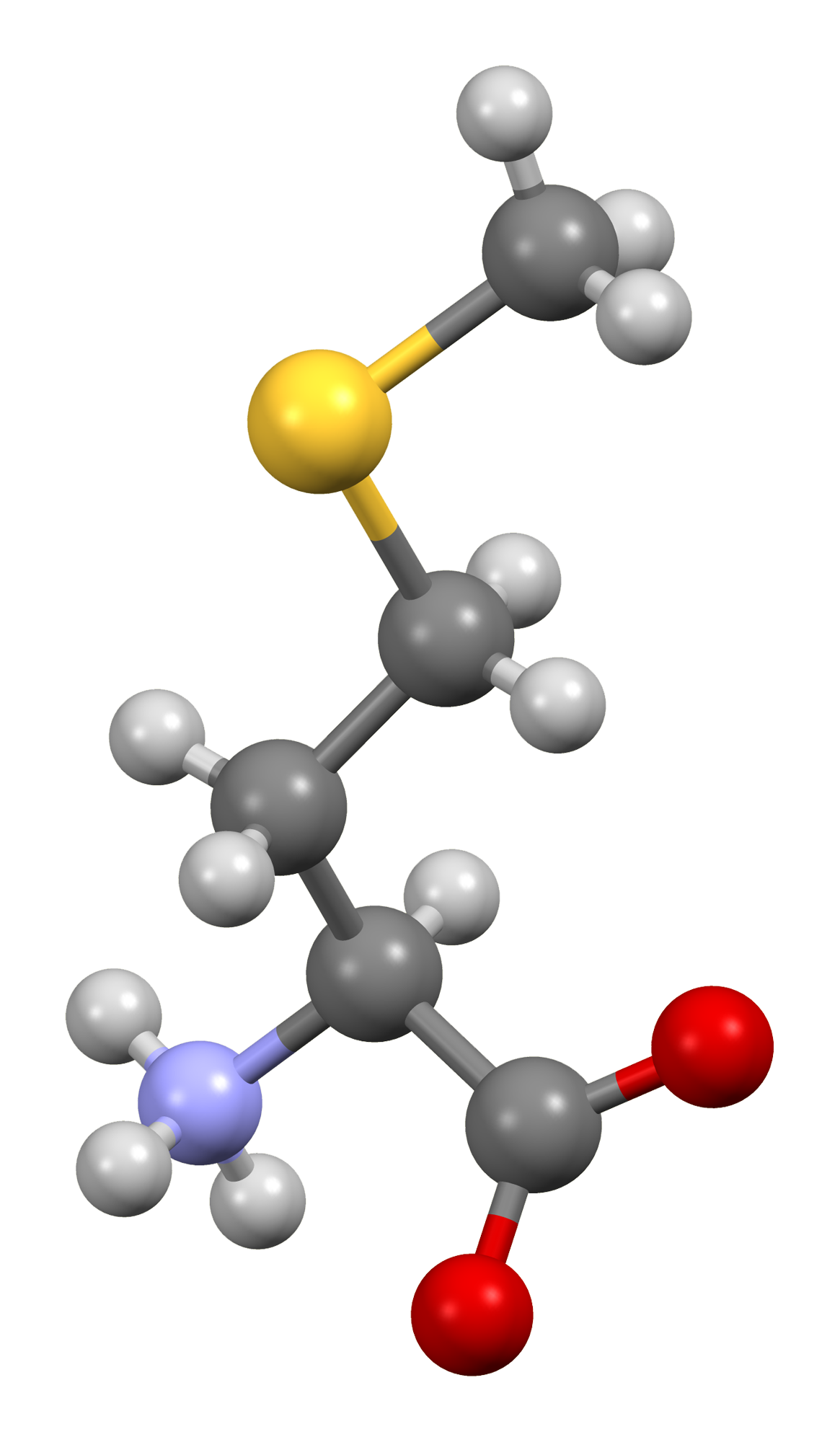 Essential Amino Acids
