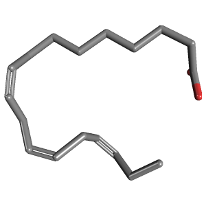 Essential Fatty Acids
