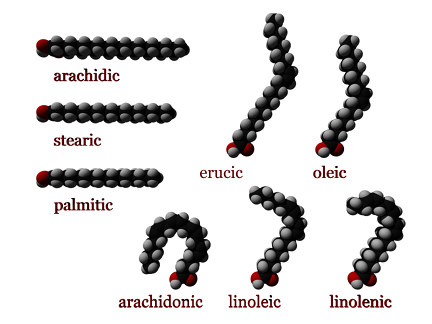 Essential Fatty Acids