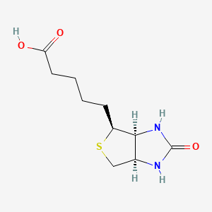 Human Biotin (Vitamin B7) Needs