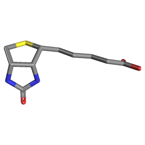 Human Biotin (Vitamin B7) Needs