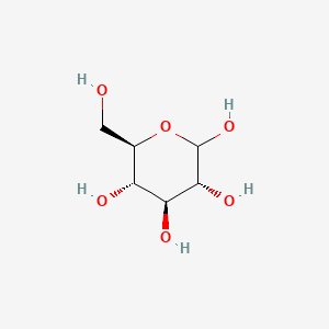 Human Carbohydrate Needs