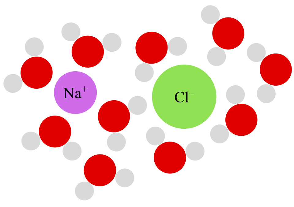 Human Chloride Needs