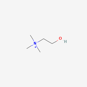 Human Choline Needs