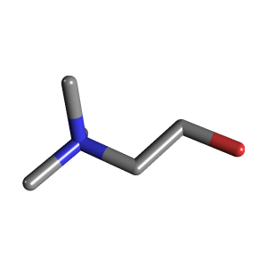 Human Choline Needs