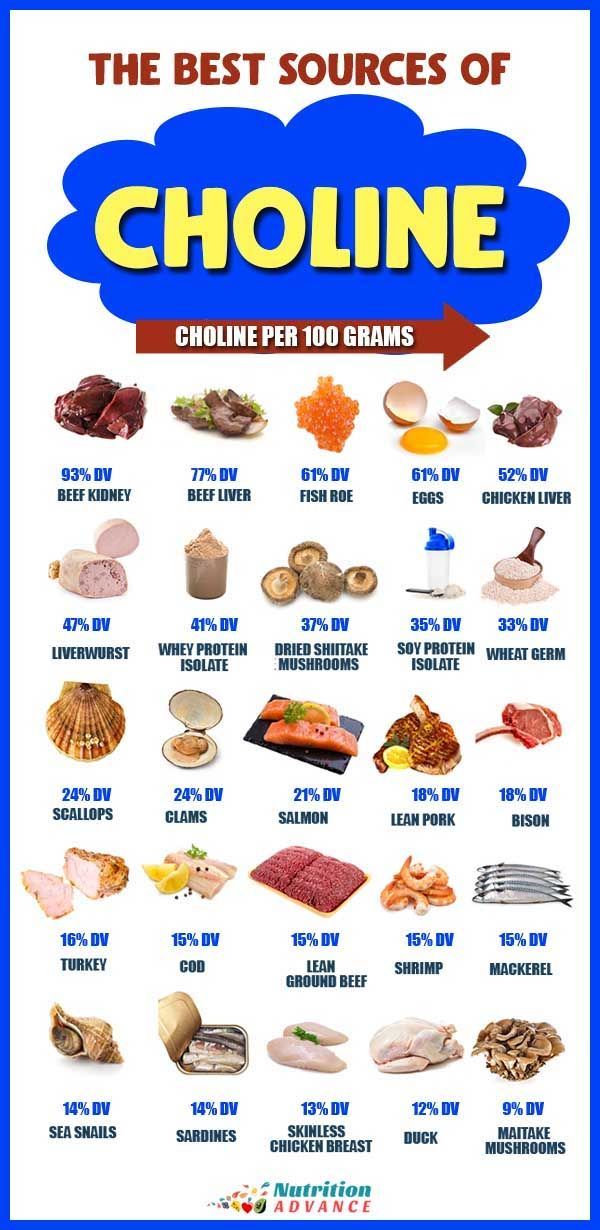 Human Choline Needs
