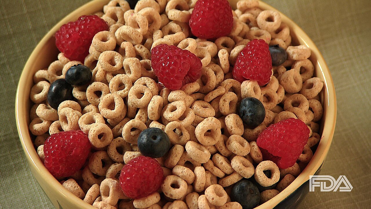 Human Dietary Fiber Needs
