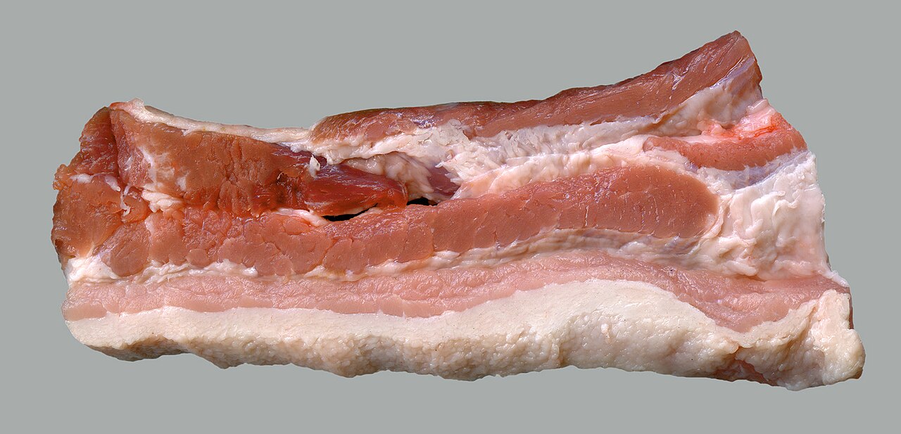 Human Fat Needs