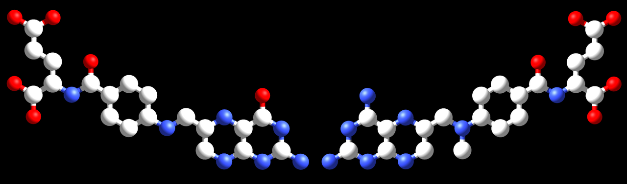 Human Folate (Vitamin B9) Needs