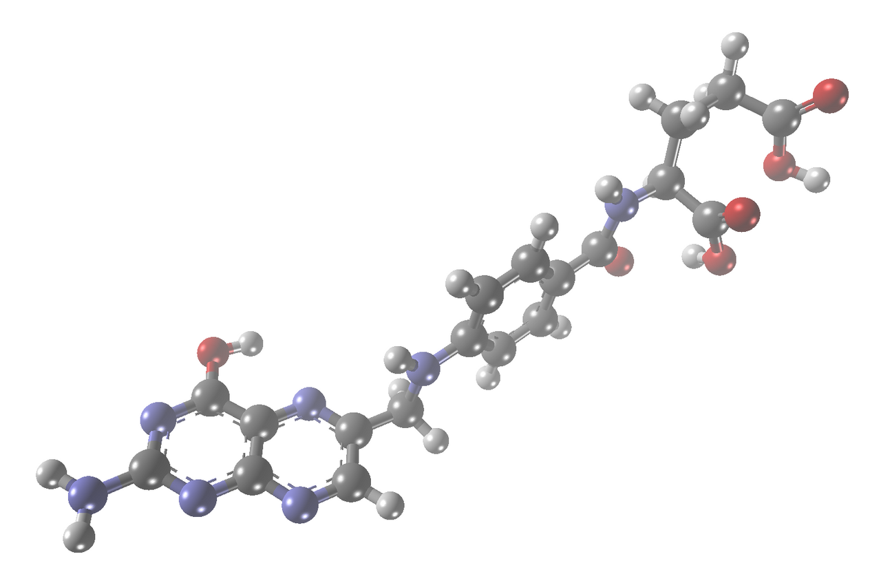 Human Folate (Vitamin B9) Needs