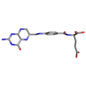 Human Folate (Vitamin B9) Needs