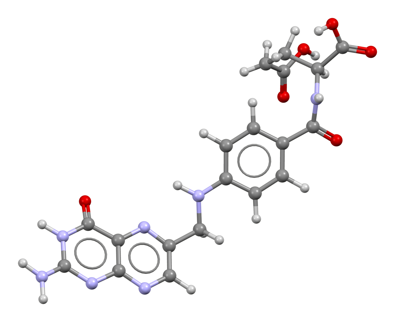 Human Folate (Vitamin B9) Needs