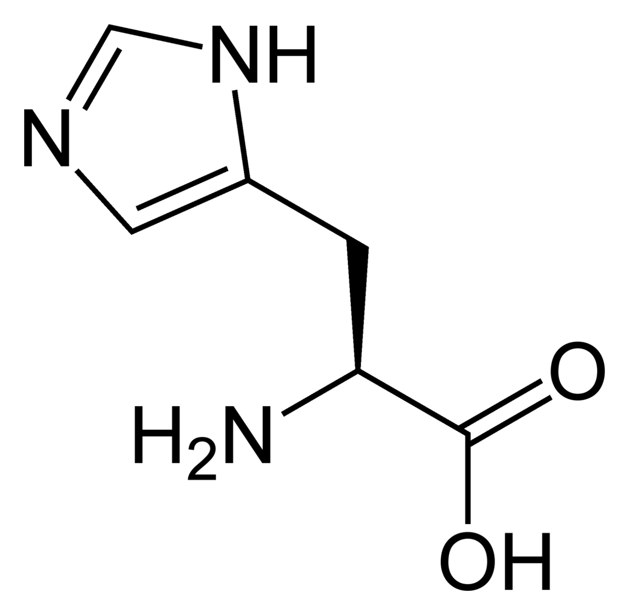 Human Histidine Needs