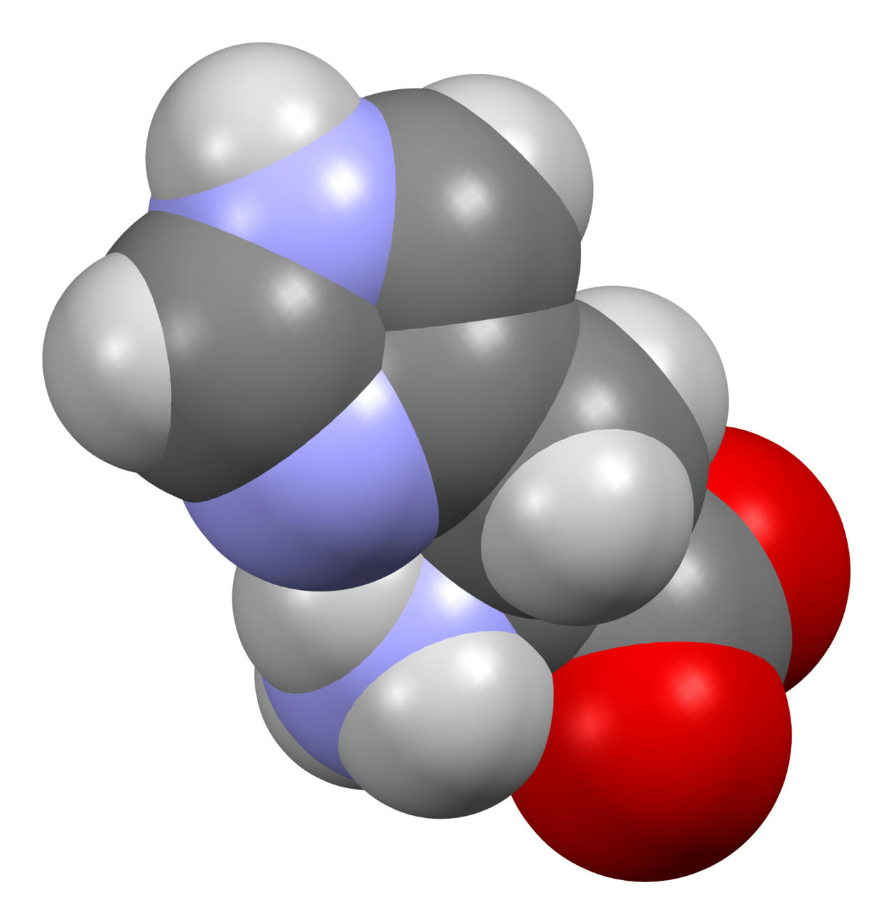 Human Histidine Needs